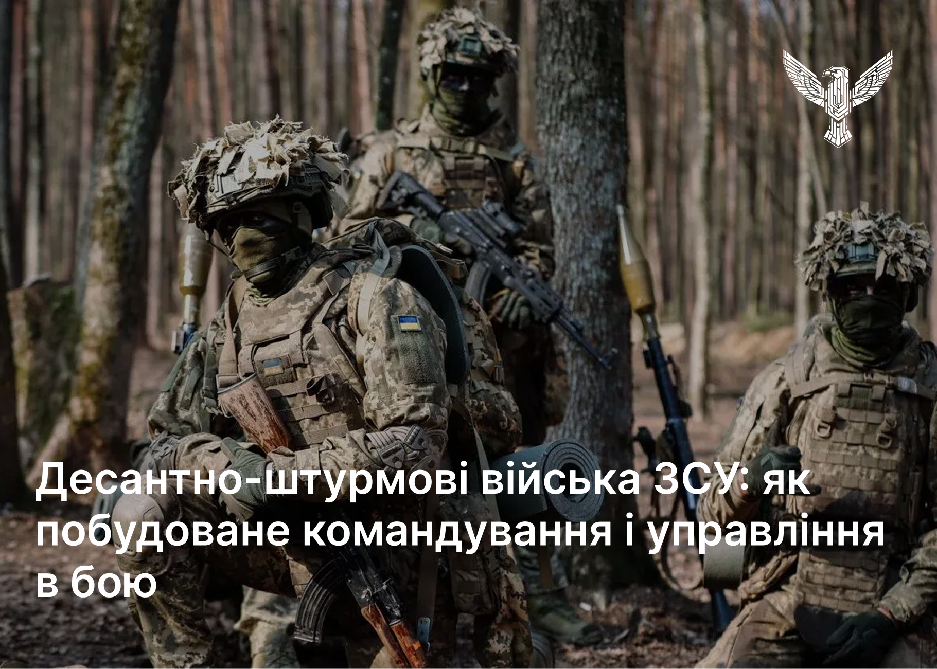 Десантно-штурмові війська ЗСУ: як побудоване командування і управління в бою