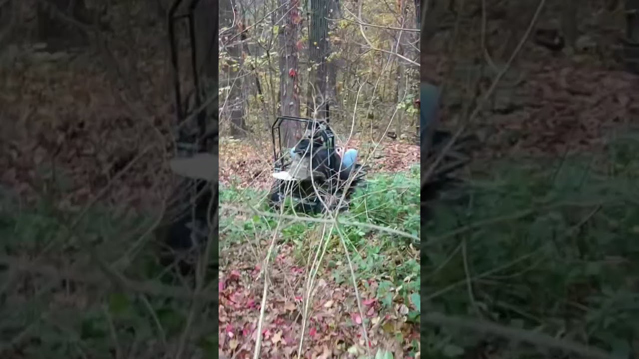 video_1