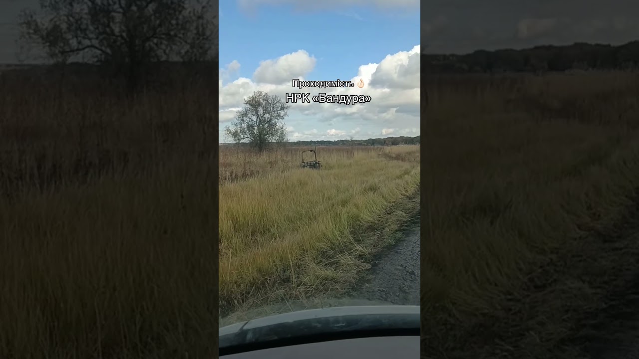 video_0