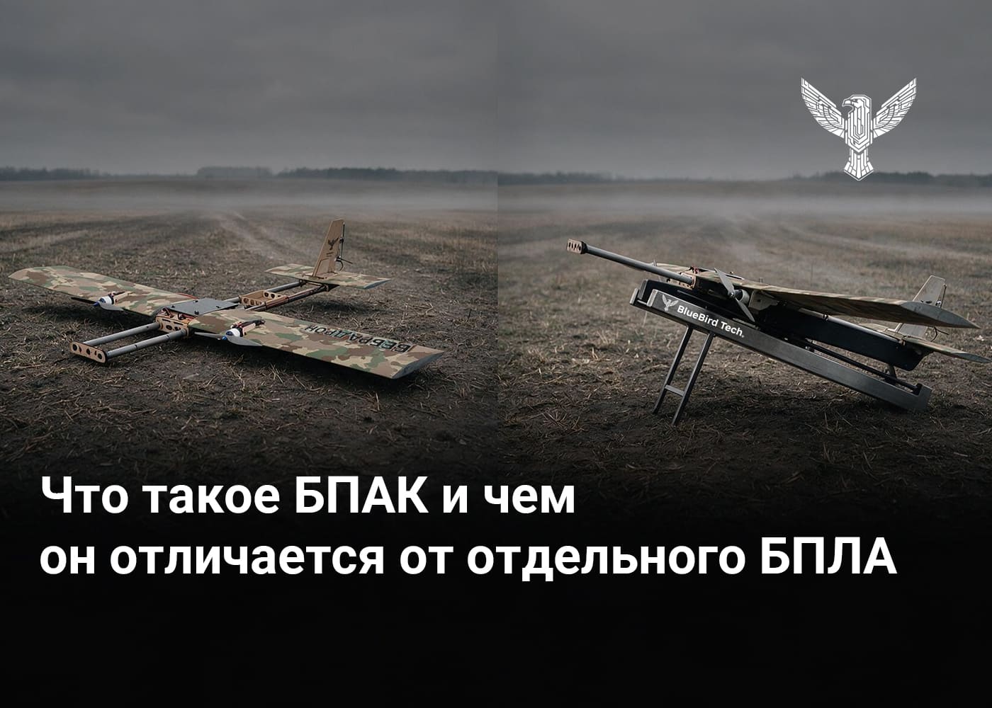 Что такое БПАК и чем он отличается от отдельного БПЛА