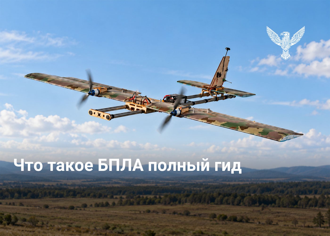 Что такое БПЛА полный гид